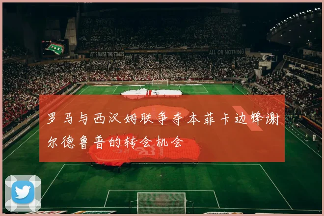 罗马与西汉姆联争夺本菲卡边锋谢尔德鲁普的转会机会