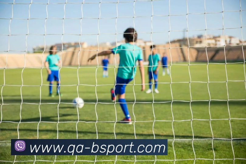 B体育APP 封面图